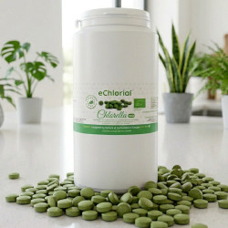 Chlorella Premium - (10 Monate) 1700 Tabletten