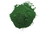 Chlorella Bio - In Glasröhren gezüchtet